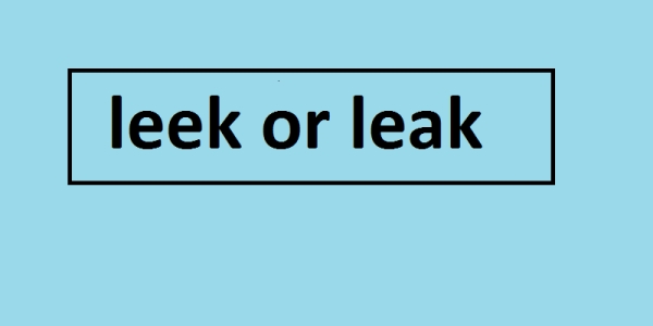leek or leak